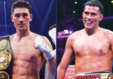 Бенавидес снова обязательный претендент на титул Бивола по версии WBA