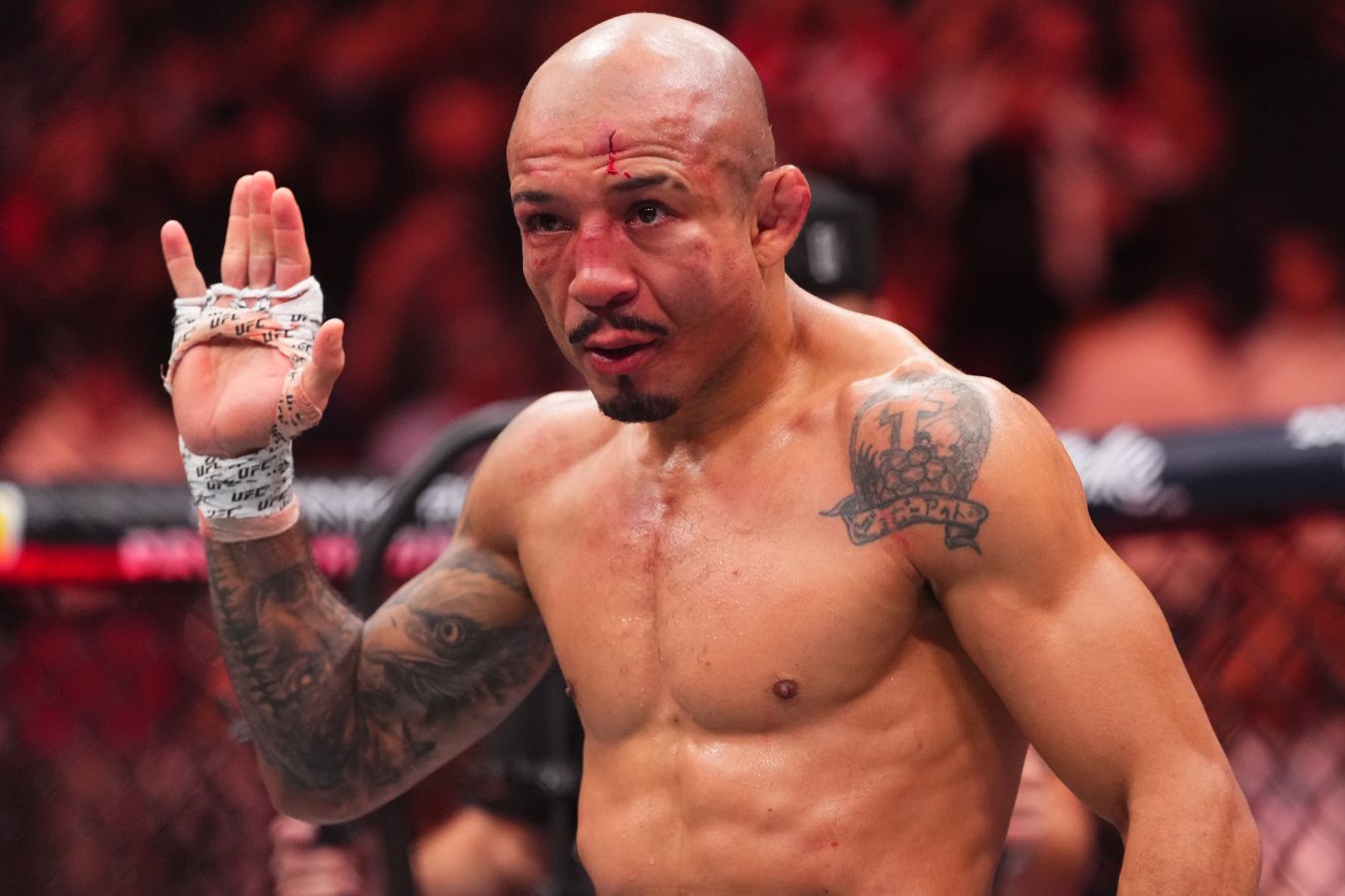Preview Разбор спорного боя: Айманн Захаби против Жозе Альдо на UFC 315