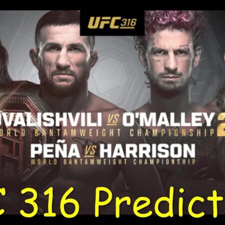 UFC 316: Хронология перед реваншем Двалишвили vs О’Мэлли 2