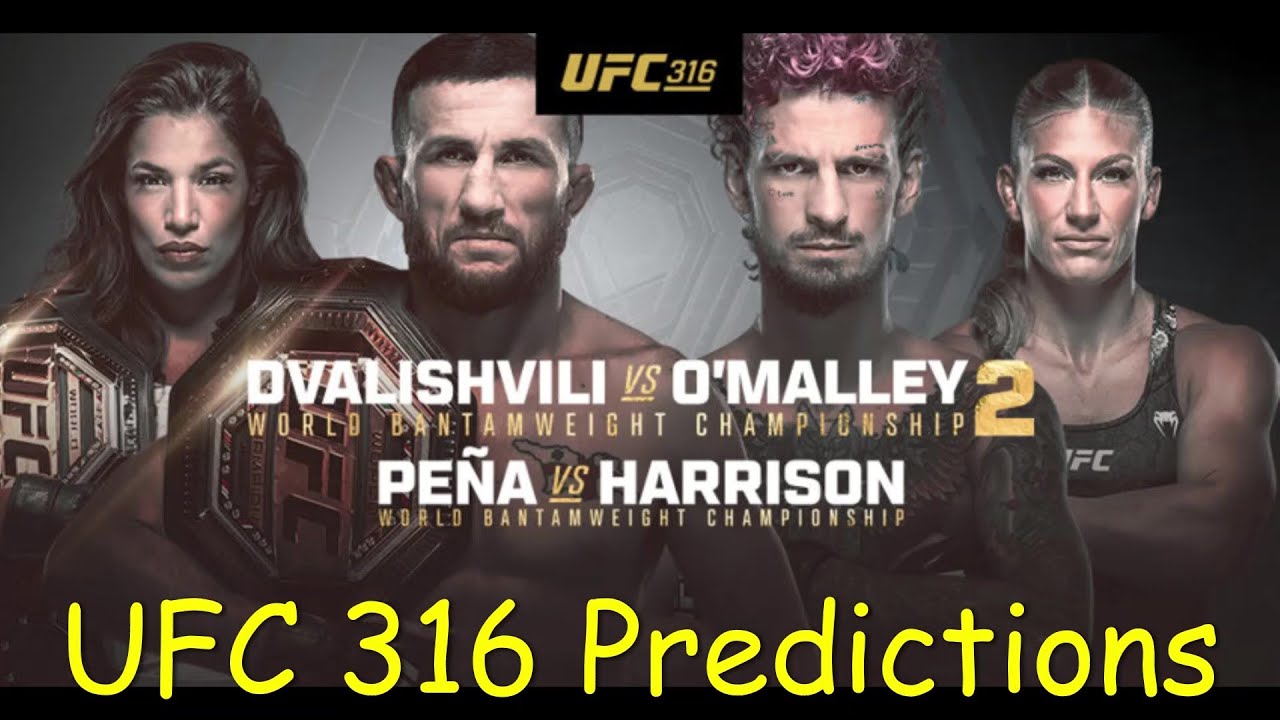Preview UFC 316: Хронология перед реваншем Двалишвили vs О’Мэлли 2