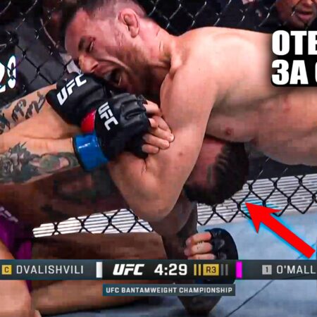 UFC 316: Двалишвили побеждает О’Мэлли удушающим приемом