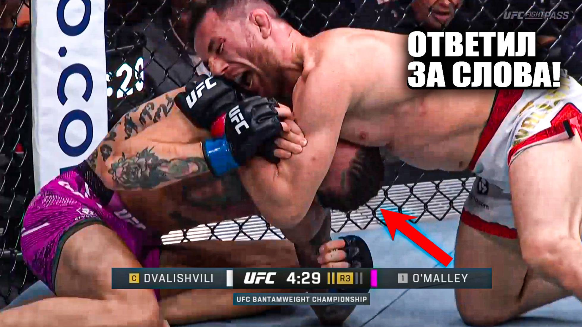 Preview UFC 316: Двалишвили побеждает О’Мэлли удушающим приемом