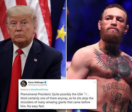 Конор Макгрегор и звезды UFC откликнулись на объявление Дональда Трампа о бое в Белом доме