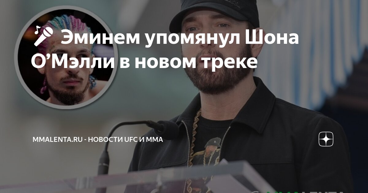 Preview Эминем упомянул Шона О’Мэлли в своей новой песне ‘Animals’