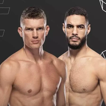 Обзор боя: Стивен Томпсон против Габриэля Бонфима на UFC Nashville