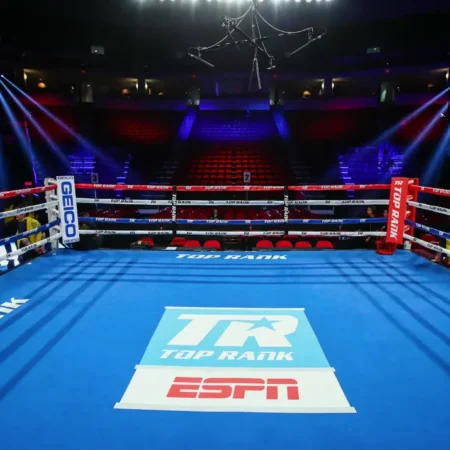 Как делать ставки на MMA в 1Win и Mostbet