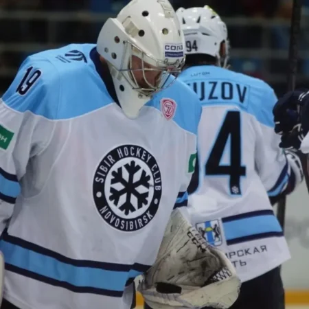 Линия хоккея в 1Win и 1xbet: подробный обзор возможностей для ставок