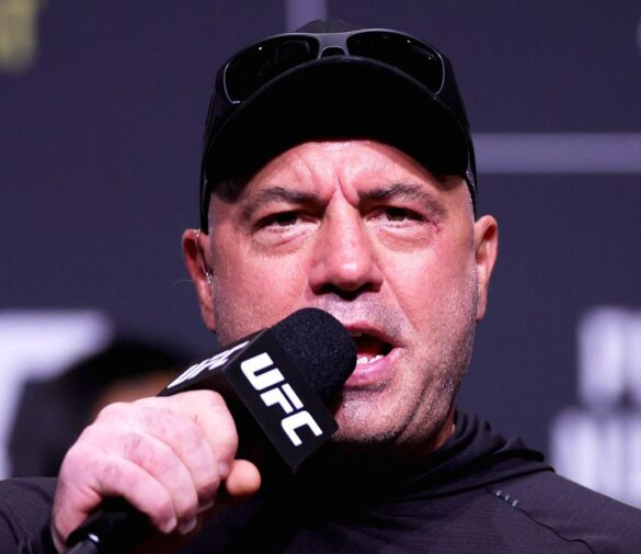 Джо Роган возвращается в команду комментаторов UFC 320, подтверждено возвращение любимой фанатами репортерши