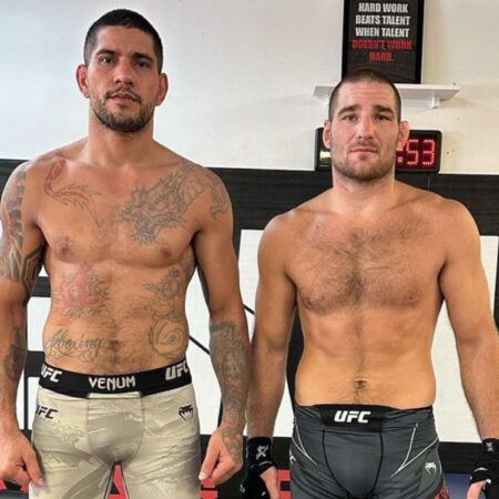 Алекс Перейра: «Я бы, наверное, кого-нибудь убил, если бы был в лучшей форме»