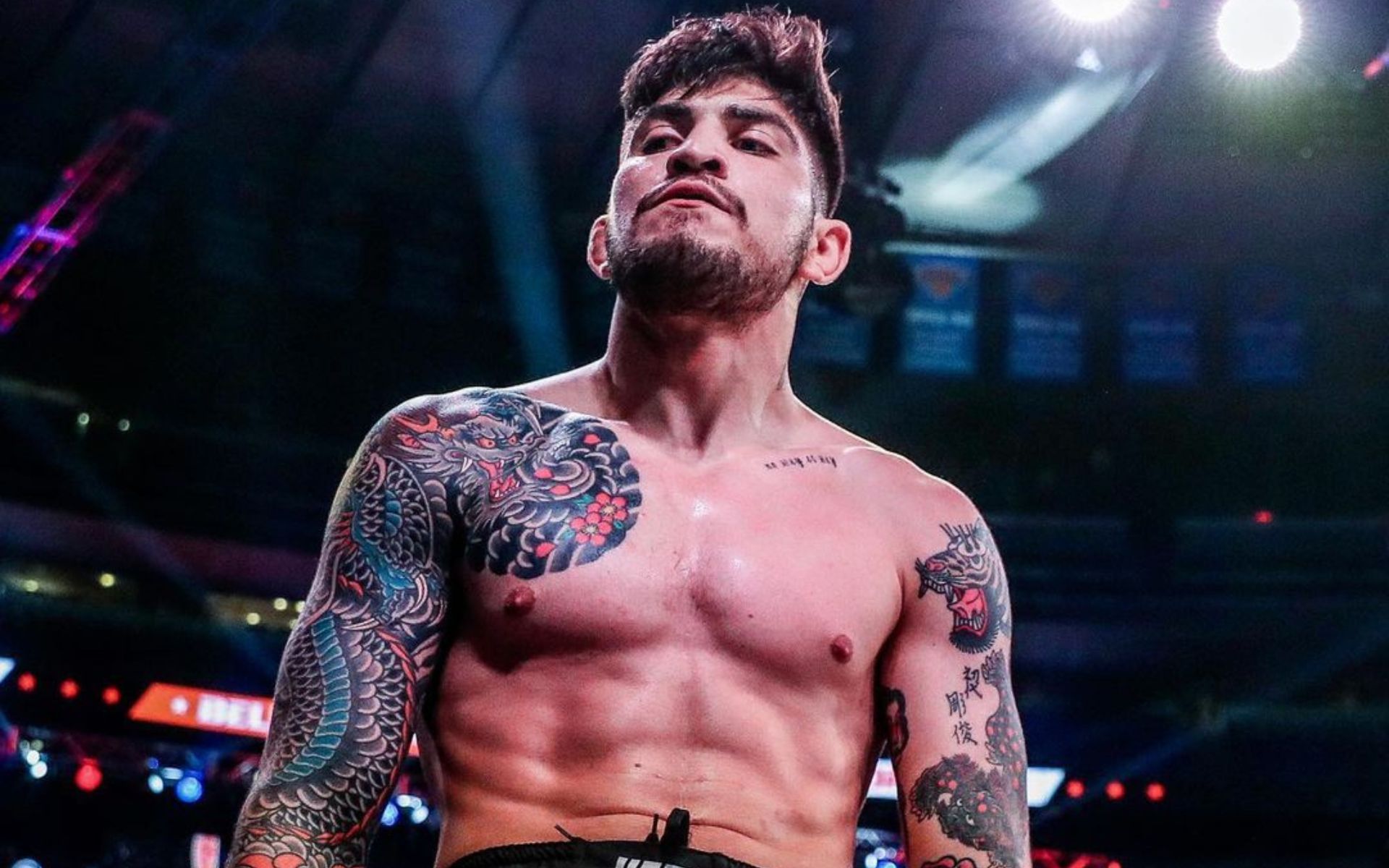 Preview Диллон Дэнис рискует $85 000 на UFC 320 после недавней потери $150 000