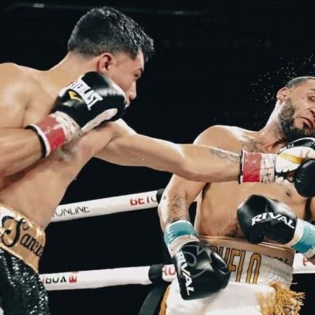 Саул Санчес против Эдвина Родригеса: Полный обзор поединка