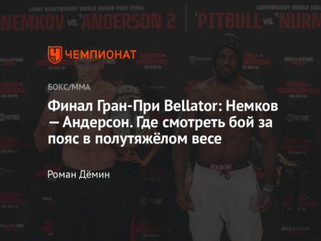 Объявлены участники Гран-при K-1 в полутяжелом весе