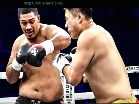 Бокс: Кикбоксер Угрожает Традициям Линейного Чемпионства Тяжеловесов
