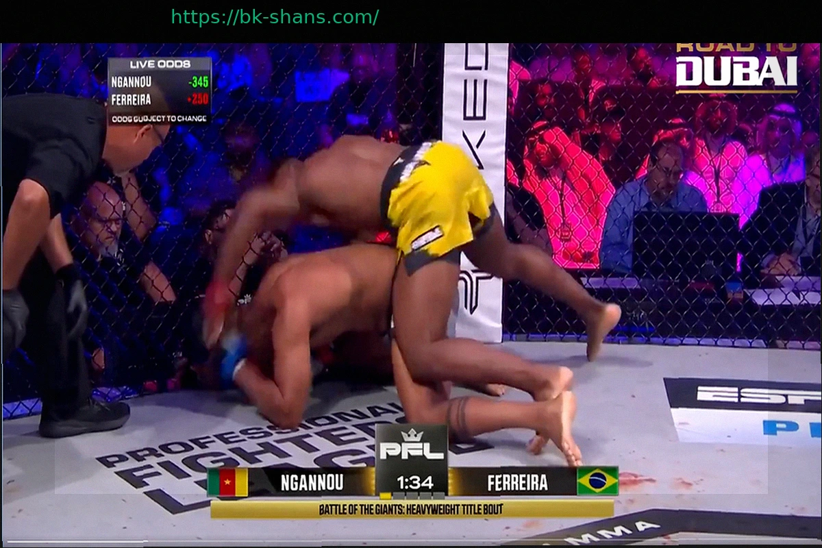 Preview Яркие моменты турнира PFL Madrid: Лусиано Перейра эффектно нокаутирует Кевина Кордеро