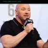 Дана Уайт Категорично Высказался о Поединках Между Бойцами UFC и Боксерами