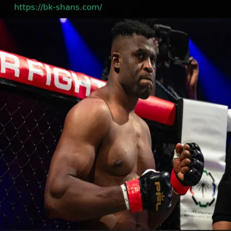 Франсис Нганну Сразится с Филипе Линсом на Дебютном MMA-Турнире Netflix