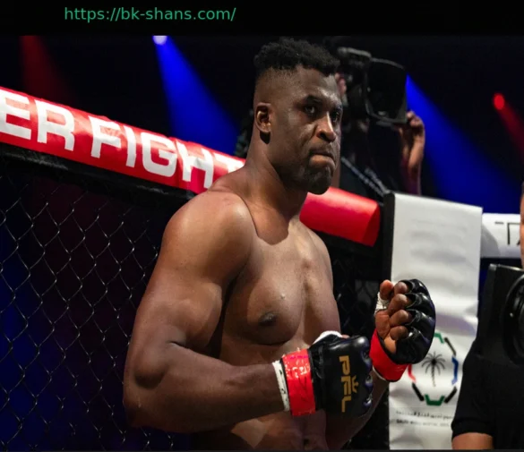 Франсис Нганну Сразится с Филипе Линсом на Дебютном MMA-Турнире Netflix