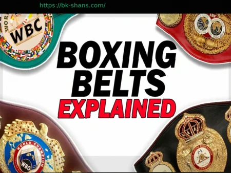 От четырех до семи? Объяснение системы поясов в боксе