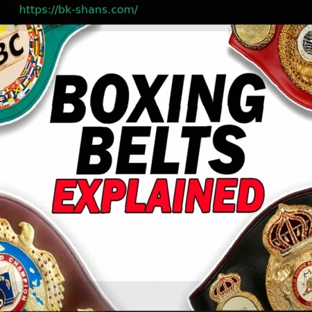 От четырех до семи? Объяснение системы поясов в боксе