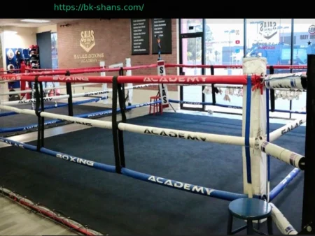 Знаменитый боксерский зал Salas Boxing Academy в Лас-Вегасе полностью восстановил работу после серьезной аварии
