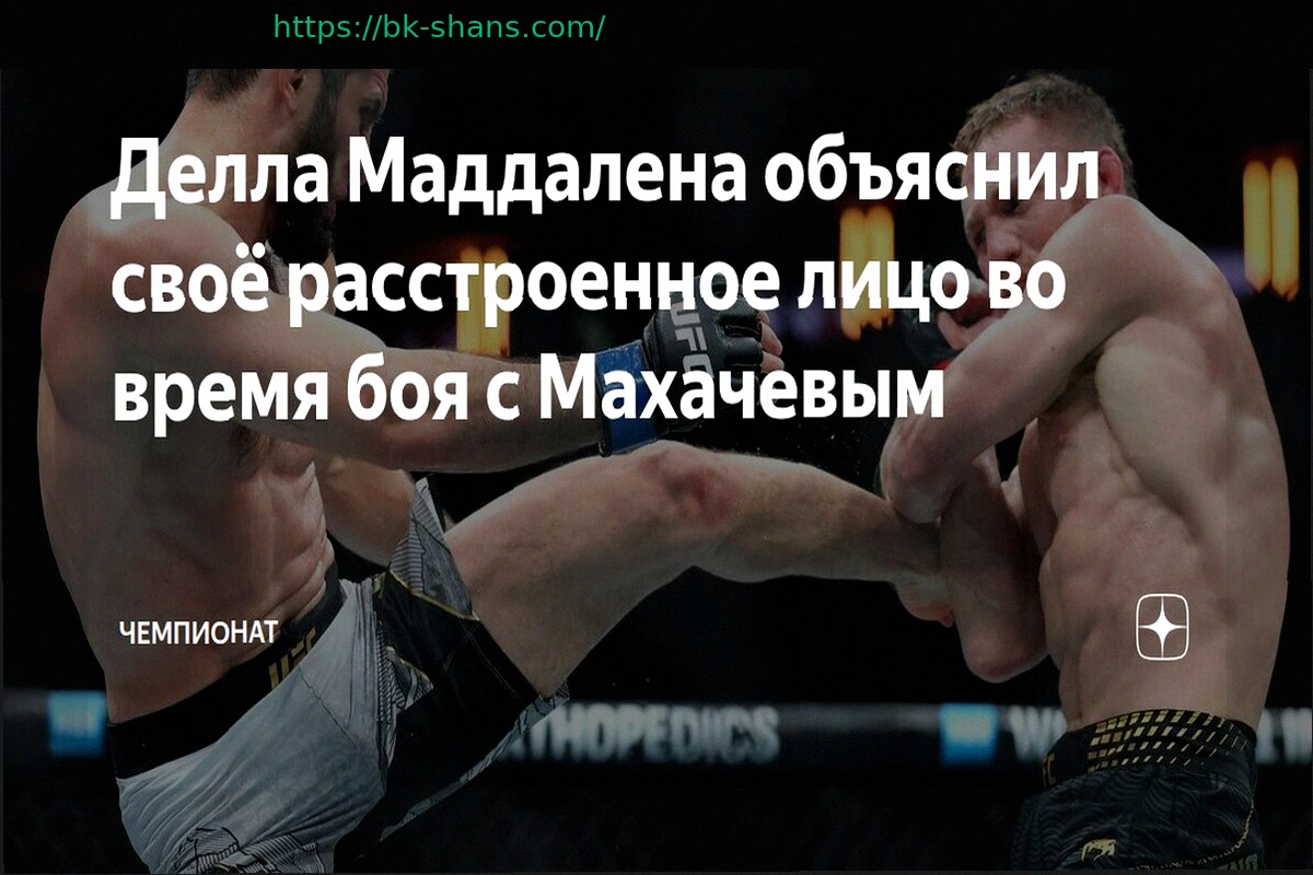 Preview UFC Fight Night 271: Прямая трансляция боя Исраэля Адесаньи против Джо Пайфера