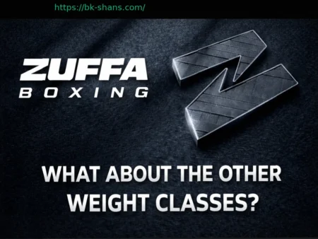 План Zuffa Boxing: Десять весовых категорий останутся без внимания