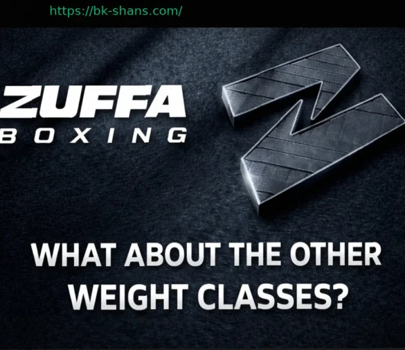 План Zuffa Boxing: Десять весовых категорий останутся без внимания