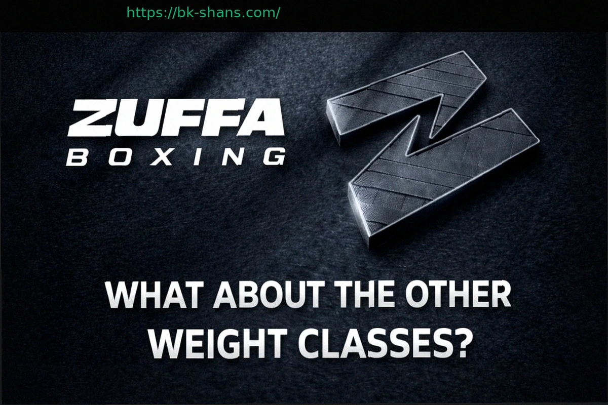 Preview План Zuffa Boxing: Десять весовых категорий останутся без внимания