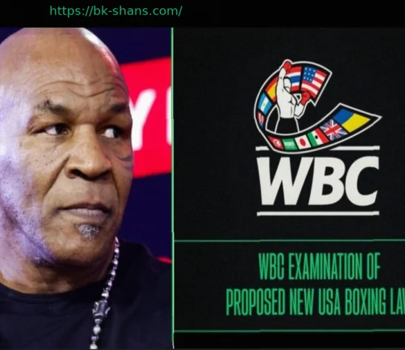 Закон о Возрождении Американского Бокса имени Мухаммеда Али Принят Палатой Представителей, Бросая Вызов Четырехпоясной Системе Бокса