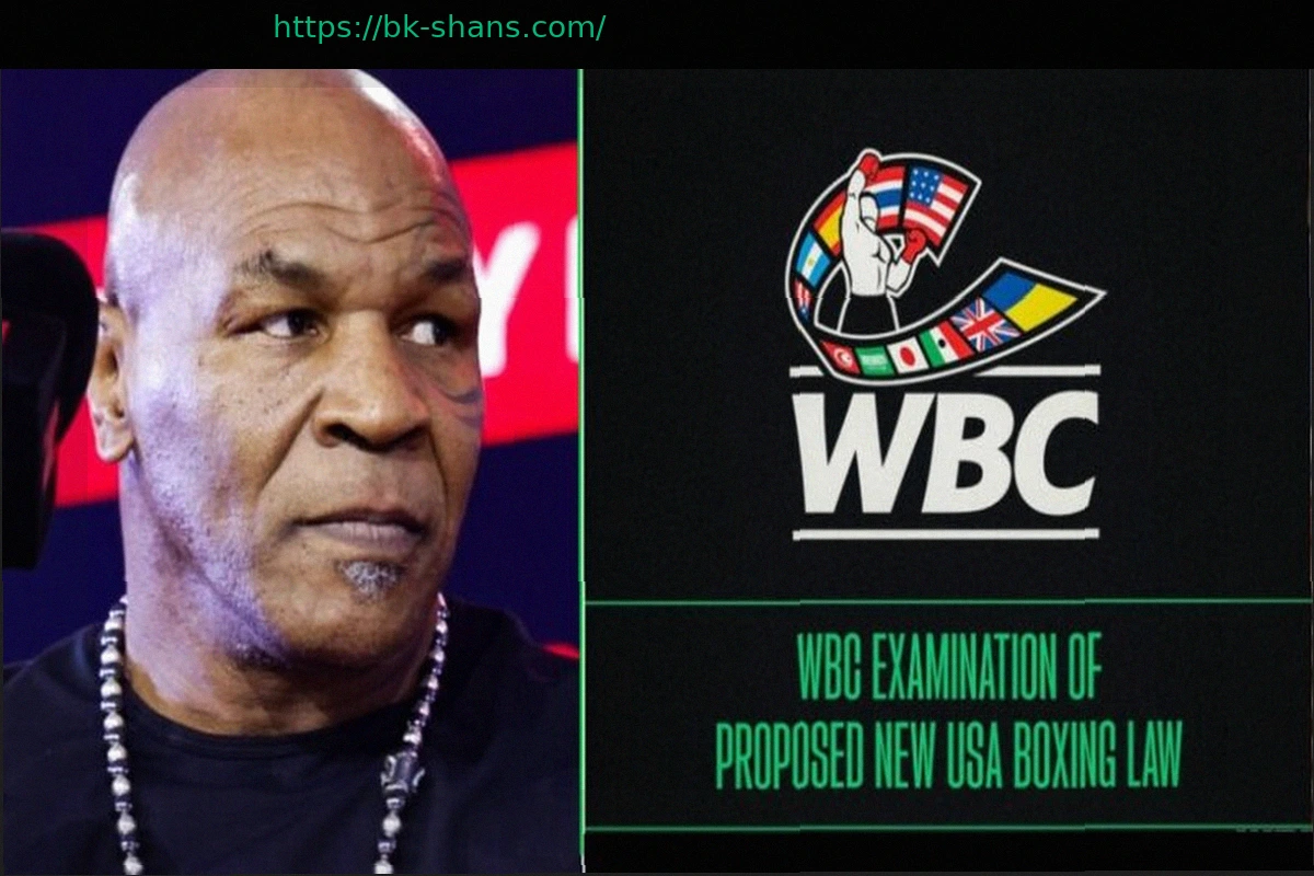 Preview Закон о Возрождении Американского Бокса имени Мухаммеда Али Принят Палатой Представителей, Бросая Вызов Четырехпоясной Системе Бокса