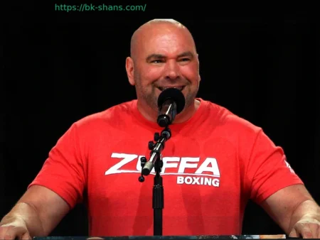Дана Уайт: Бойцам UFC запрещено боксировать в Zuffa Boxing