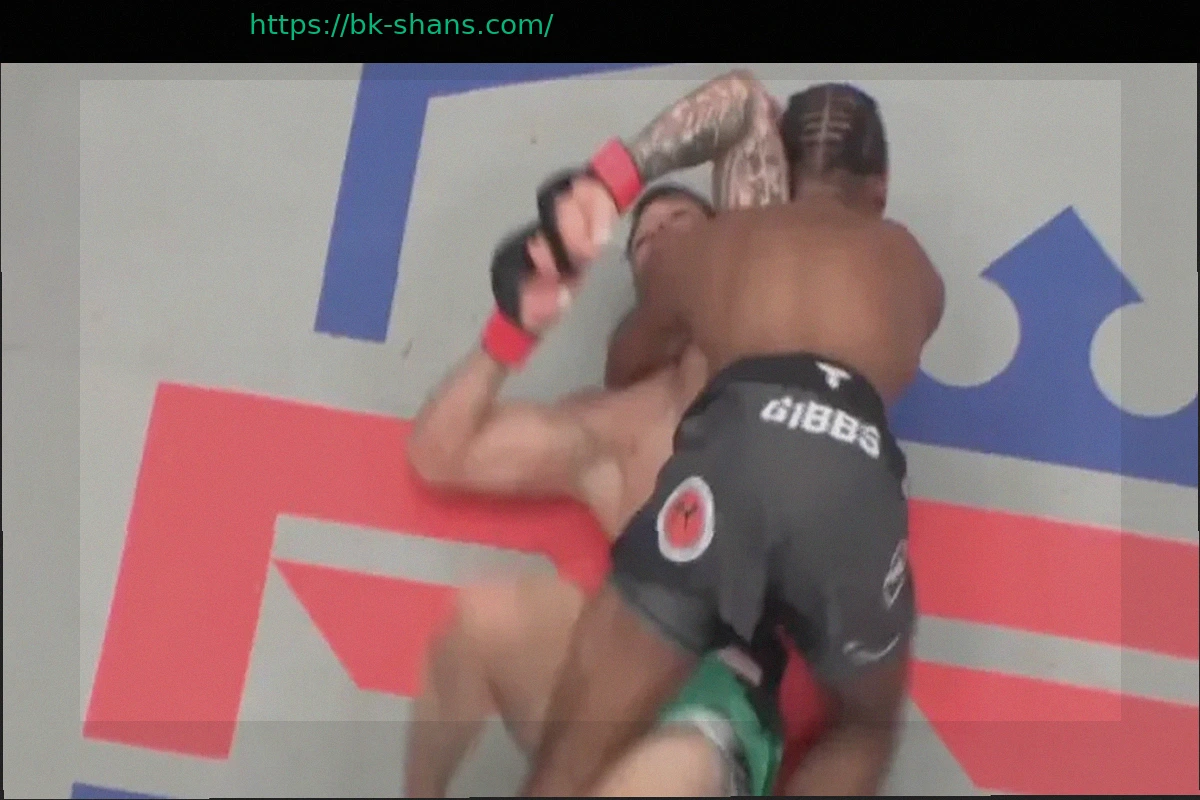 Preview Биаджо Али Уолш готовится к возвращению на PFL Chicago
