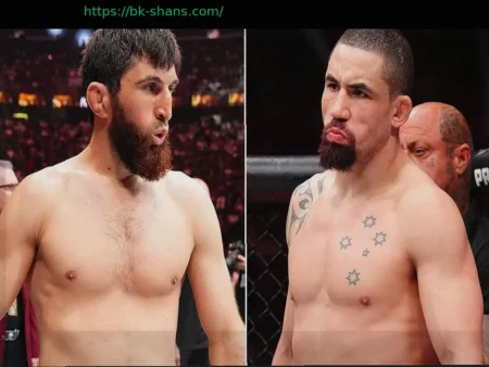 Возможный дебют Роберта Уиттакера в полутяжелом весе: бой с Магомедом Анкалаевым