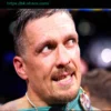 Прогноз Околи: Усик освободит титул WBC после защиты 23 мая