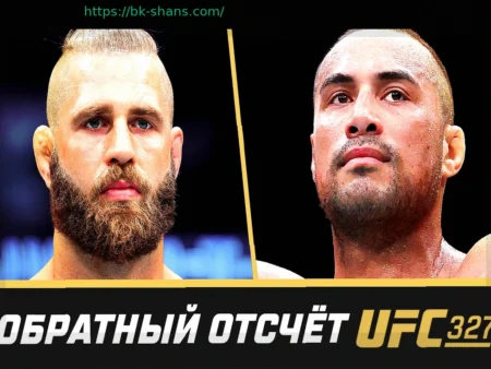 Подробный кард турнира UFC 327: Иржи Прохазка против Карлоса Ульберга. Все поединки шоу 12 апреля