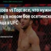 Во сколько смотреть бой Бекоев – Гор на UFC Fight Night 272 по московскому времени