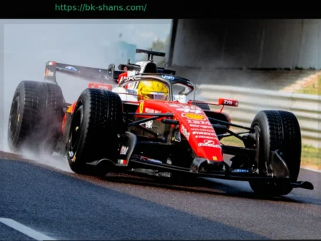 Будущие бои после PFL Chicago: Анализ и прогнозы