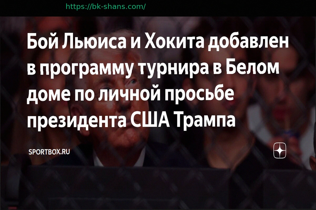 Preview Поединок Льюиса и Хокита включен в программу турнира в Белом доме по личной просьбе президента США
