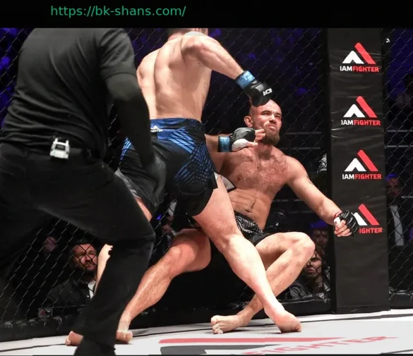 Петербургский турнир: Эмоции, как на UFC