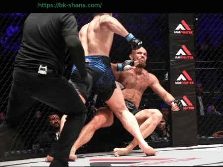 Петербургский турнир: Эмоции, как на UFC