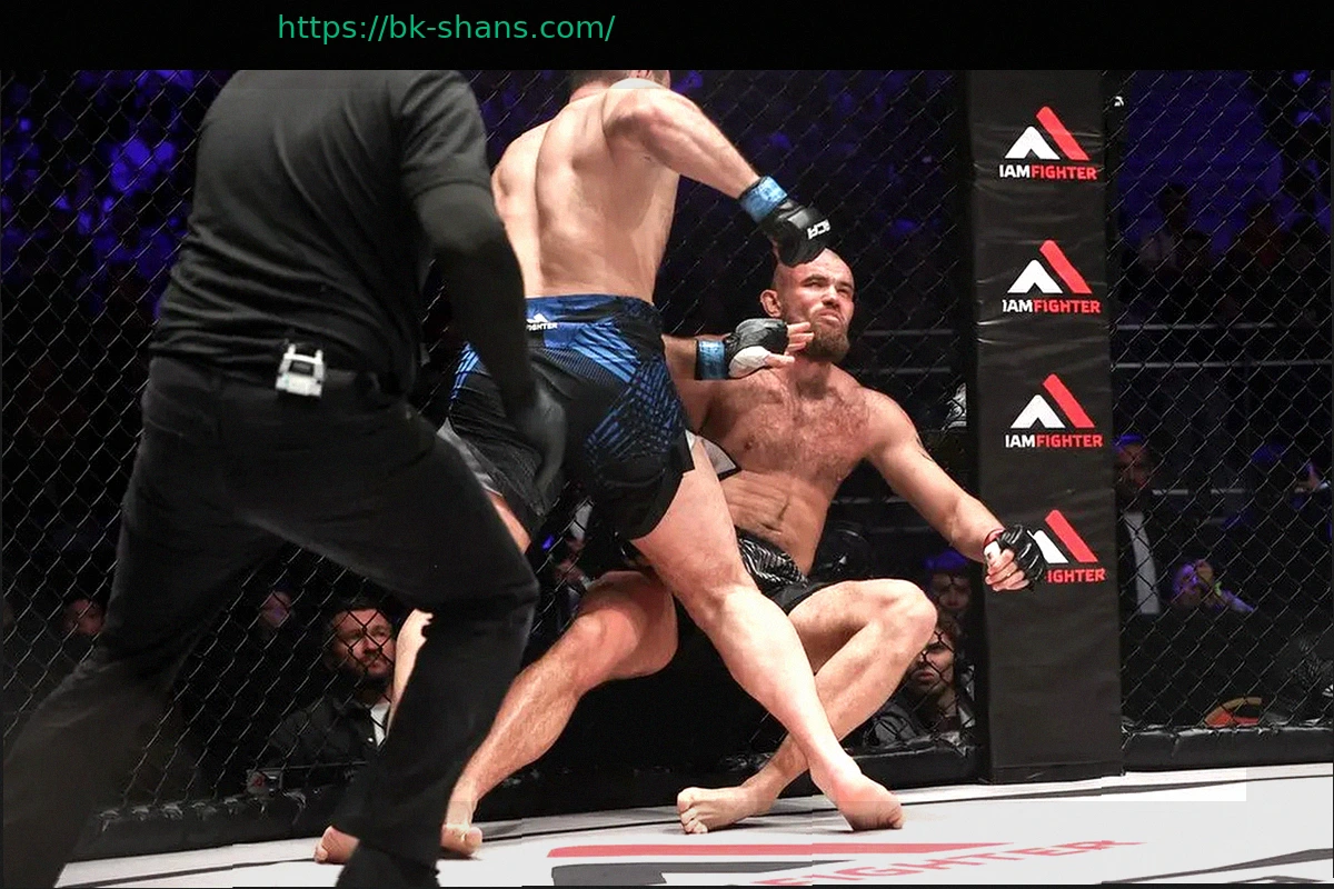 Preview Петербургский турнир: Эмоции, как на UFC