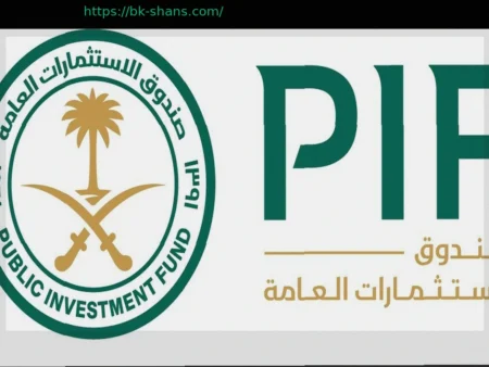 Стратегия PIF на $900 млрд: Бокс не входит в приоритетные инвестиции