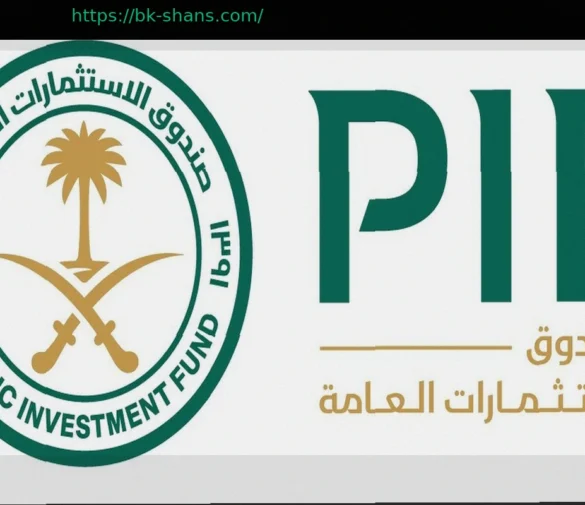 Стратегия PIF на $900 млрд: Бокс не входит в приоритетные инвестиции