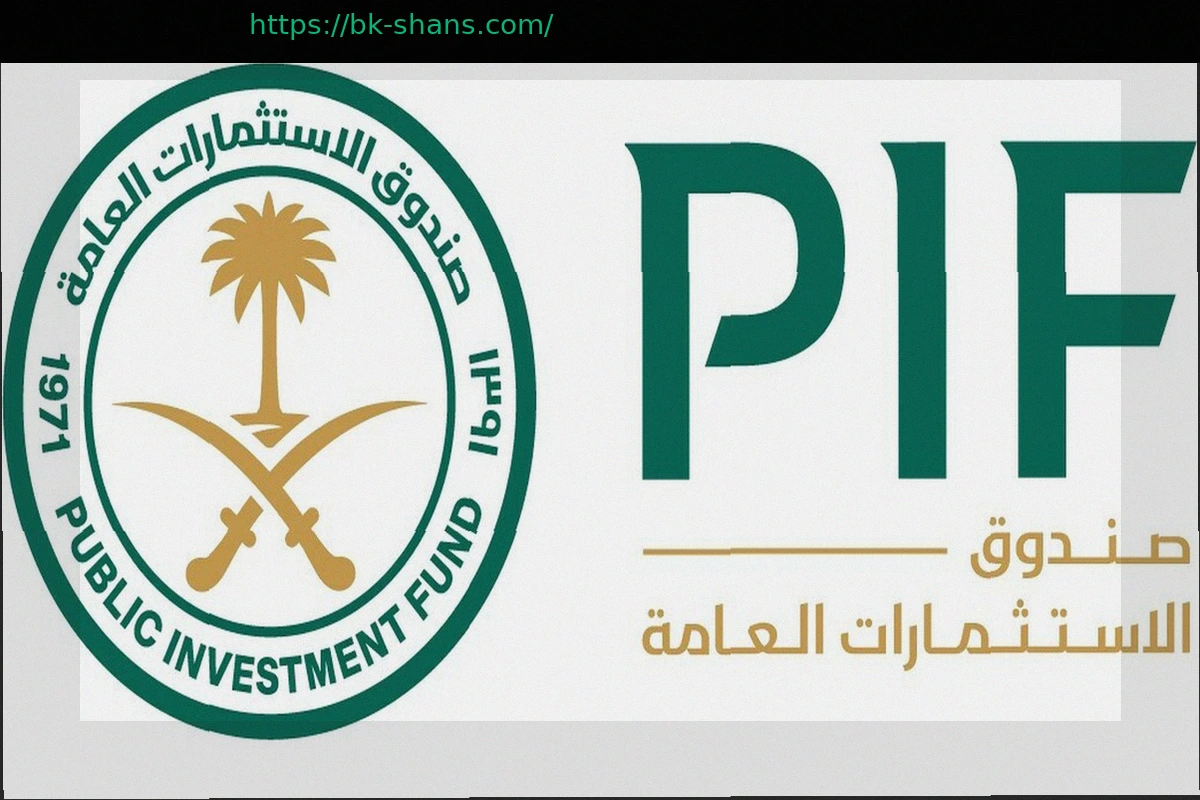 Preview Стратегия PIF на $900 млрд: Бокс не входит в приоритетные инвестиции