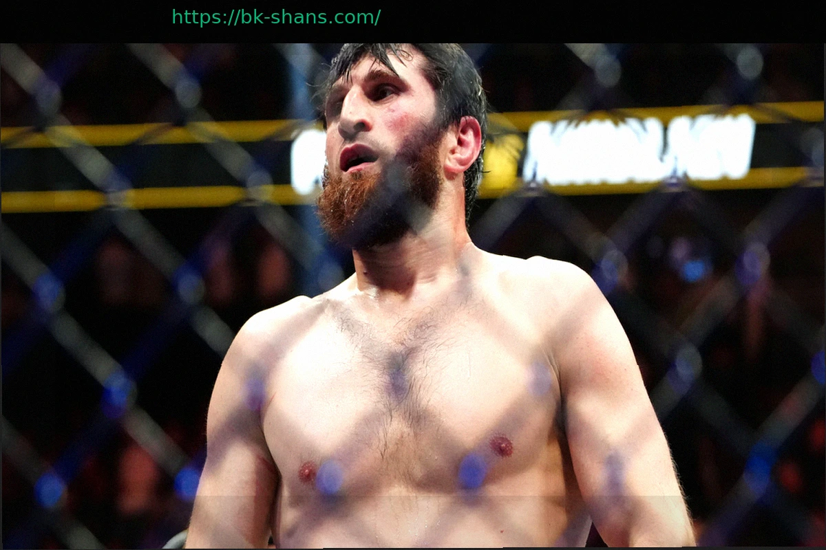 Preview Магомед Анкалаев нарушил молчание: ‘Отныне — никакой пощады’