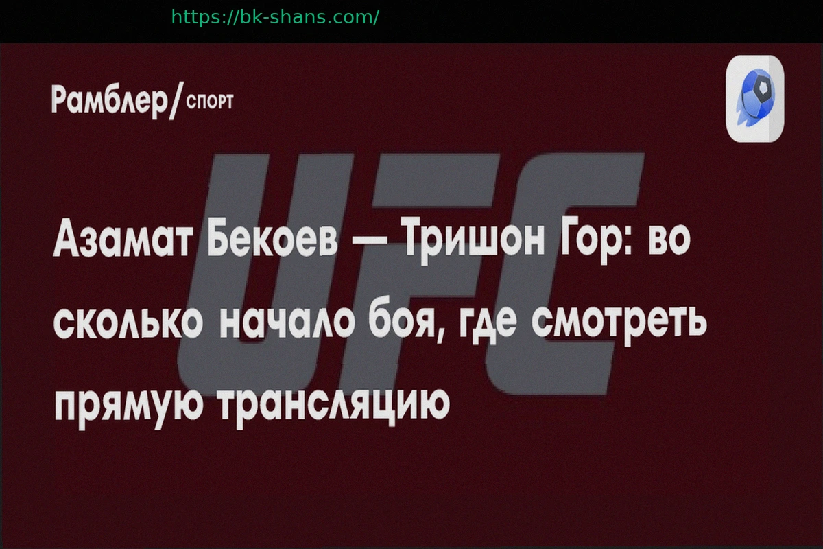 Preview UFC Vegas 115: Прямая трансляция и способы просмотра онлайн