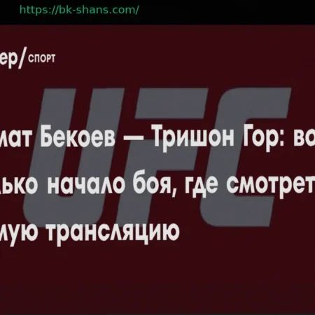 UFC Vegas 115: Прямая трансляция и способы просмотра онлайн