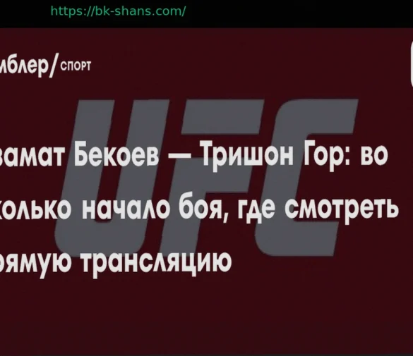 UFC Vegas 115: Прямая трансляция и способы просмотра онлайн