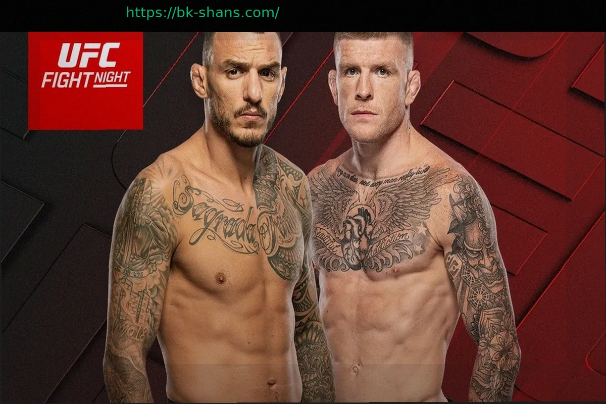 Preview Чейл Соннен утверждает: Шон О’Мэлли проведет бой за временный титул UFC в Белом доме