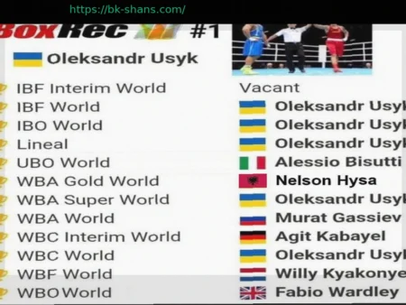 Бокс: Шесть «Чемпионов Мира» в Тяжелом Весе и Проблемы Титулов